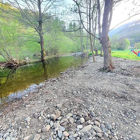 Ostojic * Mokra Gora